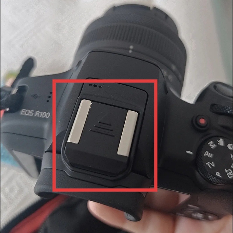 キヤノン EOS R50 R5C R3 R10 R8 R7  - Canon Camera Eos R8 のレビューと価格